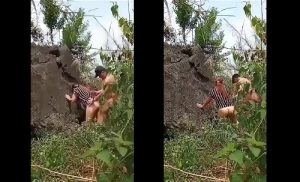 Chịch gái dâm trong bụi cây