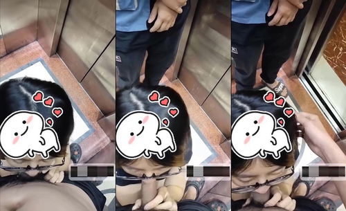 Chịch cô nàng dâm bú cu trong thang máy